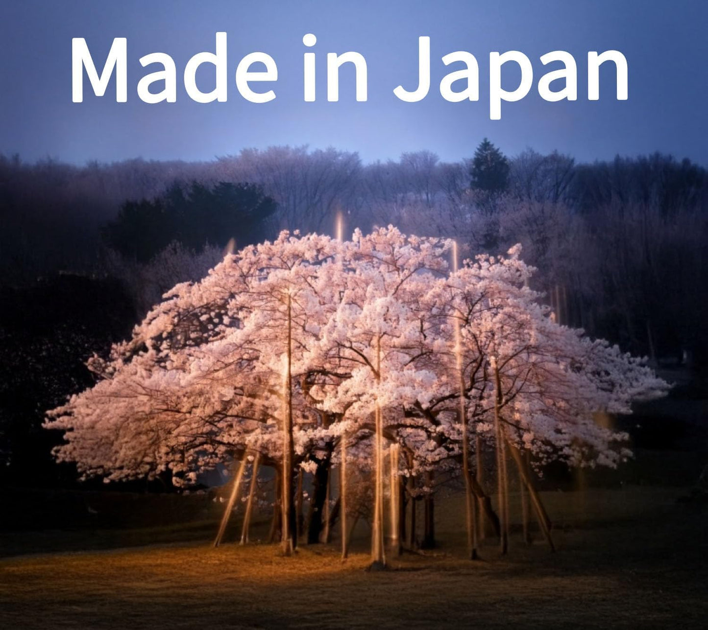 【MAINICHIKOU Morning Star Incense-Sticks】 Sandalwood 170sticks, 5.51in,Meditation, Zen, Yoga,Japanese Quality Incense